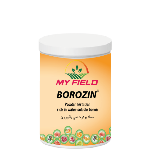 BOROZIN