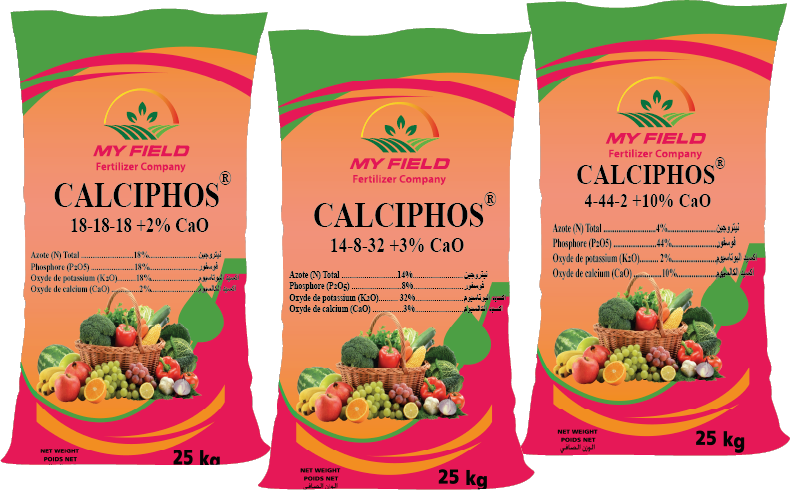 CALCIPHOS LINE