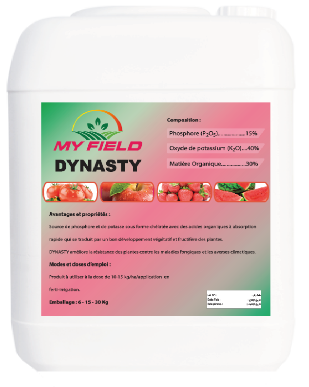 DINASTY