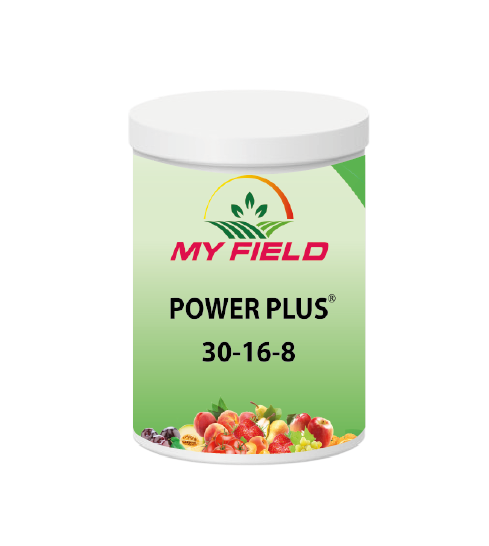 POWER PLUS