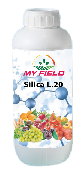 SILICA