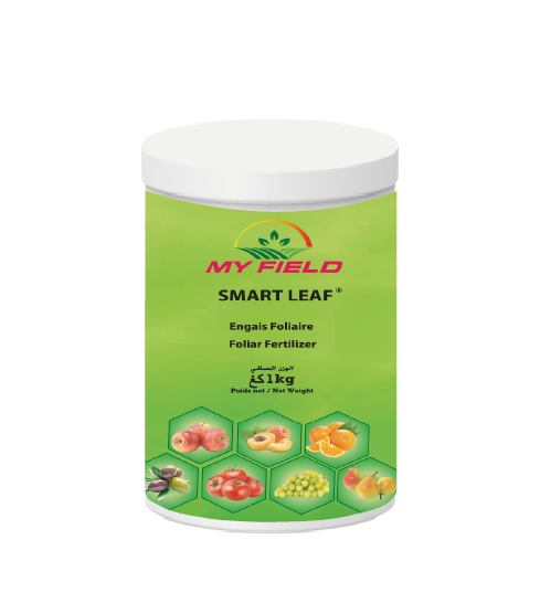 SMART LEAF