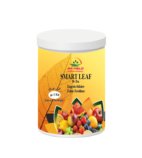 SMART LEAF B-Zn