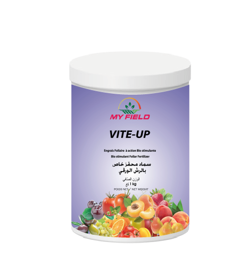 VITE UP